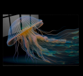 Led Aydınlatmalı Denizanası Cam Tablo, Işıklı Cam Tablo